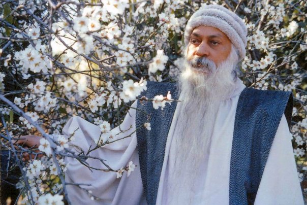 Osho Quotes on Joy